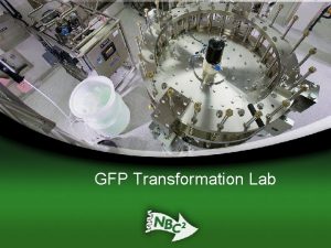 GFP Transformation Lab GFP Transformation Lab Images taken