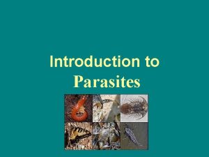 Introduction to Parasites Introduction Parasite is an organism