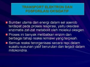 TRANSPORT ELEKTRON DAN FOSFORILASI OKSIDATIF Sumber utama dari