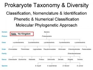 Prokaryote Taxonomy Diversity Classification Nomenclature Identification Phenetic Numerical