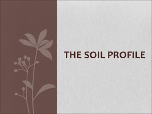 THE SOIL PROFILE The 6 Soil Roles A
