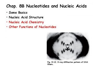 Chap 8 B Nucleotides and Nucleic Acids Some