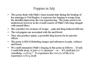 Poppies in july imagery