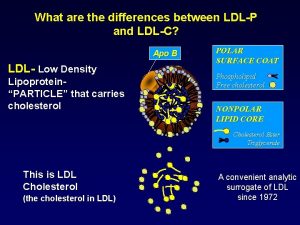 Ldl vs ldlc