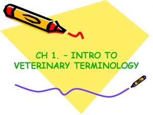 Veterinary terminology prefixes and suffixes