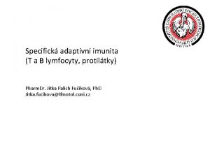 Specifick adaptivn imunita T a B lymfocyty protiltky