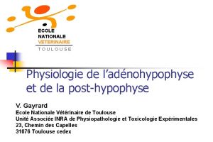 ECOLE NATIONALE VETERINAIRE TOULOUSE Physiologie de ladnohypophyse et