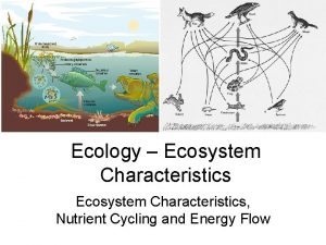 Ecology Ecosystem Characteristics Nutrient Cycling and Energy Flow