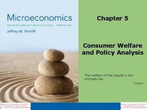 Chapter 5 Consumer Welfare and Policy Analysis The