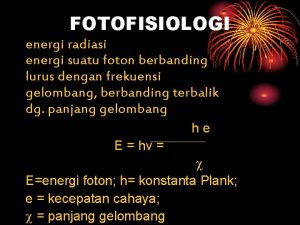 Fotofisiologi