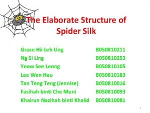Spider goat silk