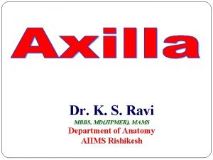 Axilla