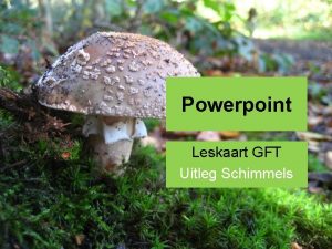 Powerpoint Leskaart GFT Uitleg Schimmels Uitleg Schimmels Overal