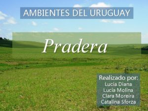 Importancia economica de la pradera en uruguay