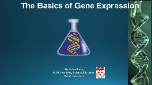 The Basics of Gene Expression By Sarina Lalla