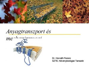 Anyagtranszport s mechanizmusai Dr Horvth Ferenc SZTE Nvnybiolgiai