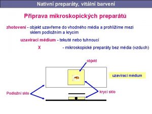 Nativn prepart vitln barven preparty vitln barven Pprava