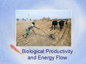 Biological Productivity and Energy Flow Biological Production Biomass