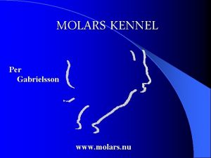 Molars kennel