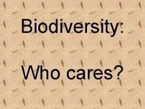 Biodiversity Who cares Which do you like better