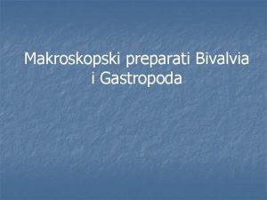 Makroskopski preparati Bivalvia i Gastropoda Phylum Mollusca Classis