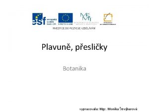 Výtrusnicový klas
