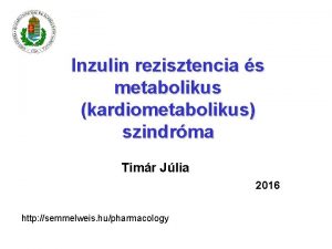 Inzulin rezisztencia s metabolikus kardiometabolikus szindrma Timr Jlia