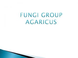 Agaricus is commonly known as ......