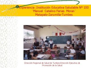 Experiencia Institucin Educativa Saludable N 100 Manuel Catalino