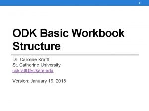 1 ODK Basic Workbook Structure Dr Caroline Krafft