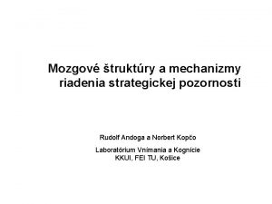 Mozgov truktry a mechanizmy riadenia strategickej pozornosti Rudolf