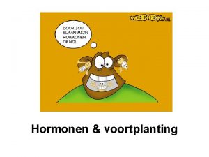 Hormonen voortplanting Wat Signaalstoffen in je bloed tussen