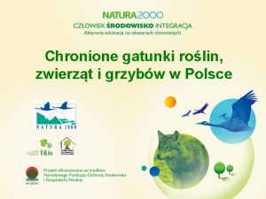 Chronione gatunki rolin zwierzt i grzybw w Polsce