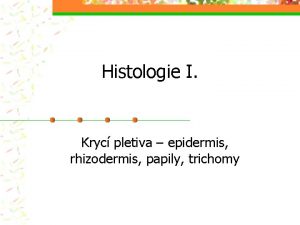 Histologie I Kryc pletiva epidermis rhizodermis papily trichomy