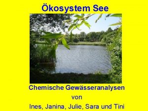 kosystem See Chemische Gewsseranalysen von Ines Janina Julie