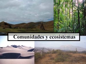 Piramides ecologicas