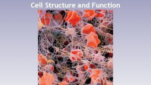 Cell Structure and Function Origin of Cellular Life