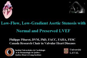 Dvi aortic valve