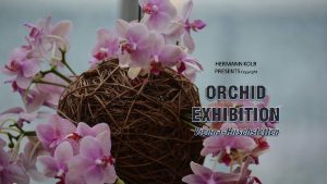 Orchideen Ausstellung Foto by Hermann Kolb Vienna at
