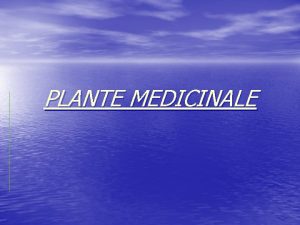 PLANTE MEDICINALE Pg 1 TITLUL LUCRARII Pg 2