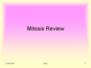 Mitosis Review 10292020 SB 2 c 1 Interphase