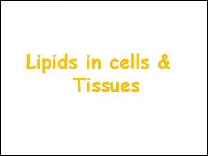 Miscellaneous lipids