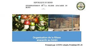 REPUBLIQUE DU BENIN INTERPROFESSION DE LA FILIERE ANACARDE