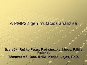 A PMP 22 gn mutcis analzise Szerzk Reko