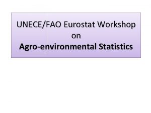 UNECEFAO Eurostat Workshop on Agroenvironmental Statistics Republic of