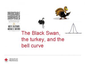 Black swan turkey