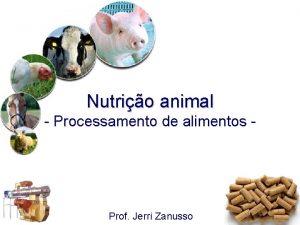 Nutrio animal Processamento de alimentos Prof Jerri Zanusso
