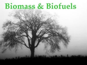 Biomass Biofuels Technology Biomass technology today serves many