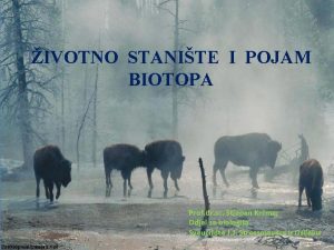 IVOTNO STANITE I POJAM BIOTOPA Prof dr sc