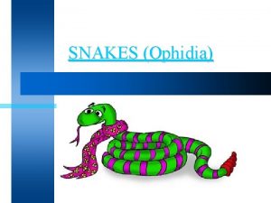 SNAKES Ophidia Poisonous l NonPoisonous l l Classified